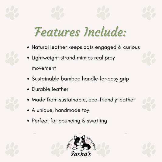 The Natural Leather Cat Teaser Toy - Red & Black