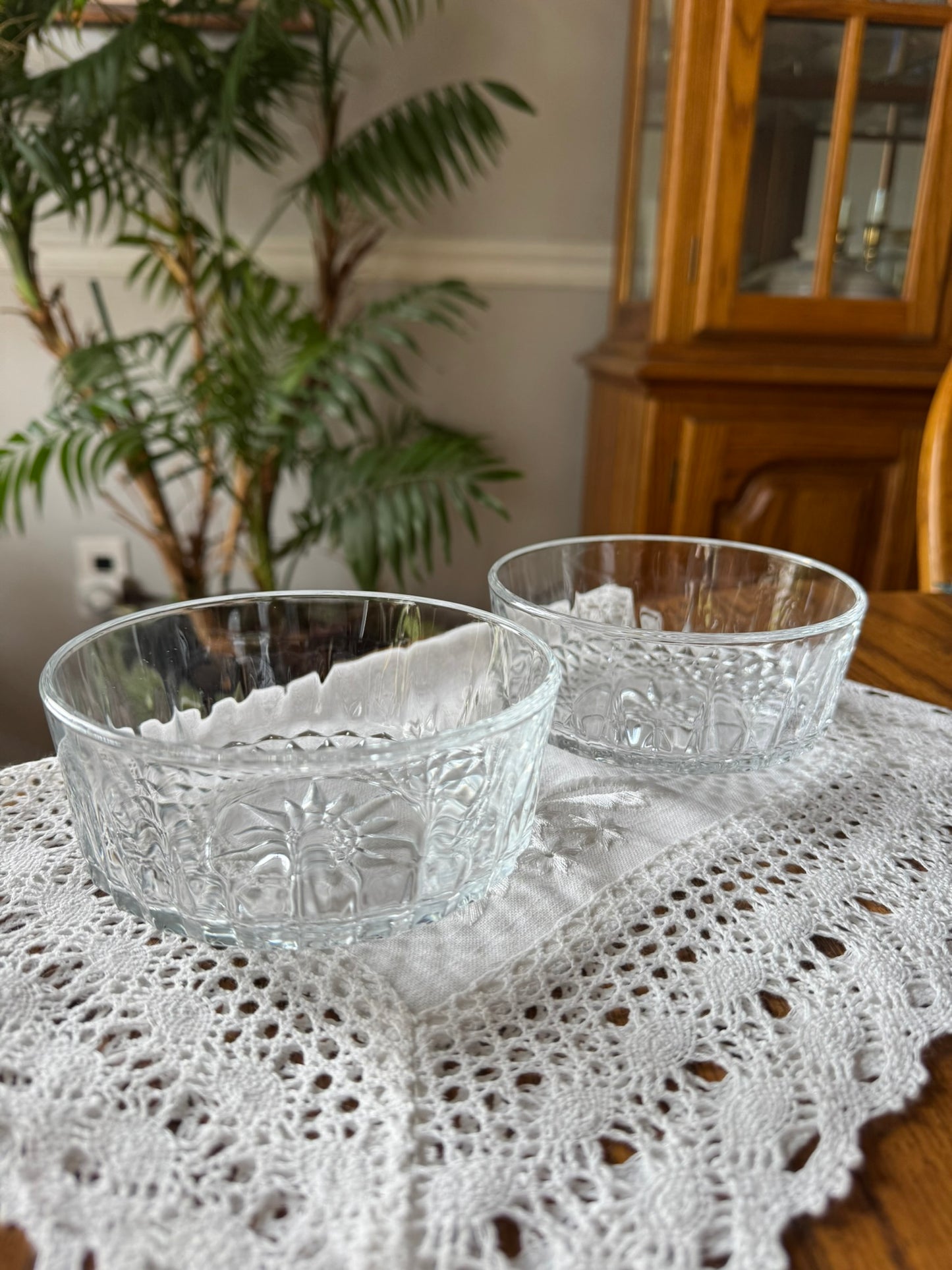 Glass Cat Dish – Rare Discontinued Design, Whisker-Friendly, Plastic-Free, Lead-Tested - Arcoroc USA