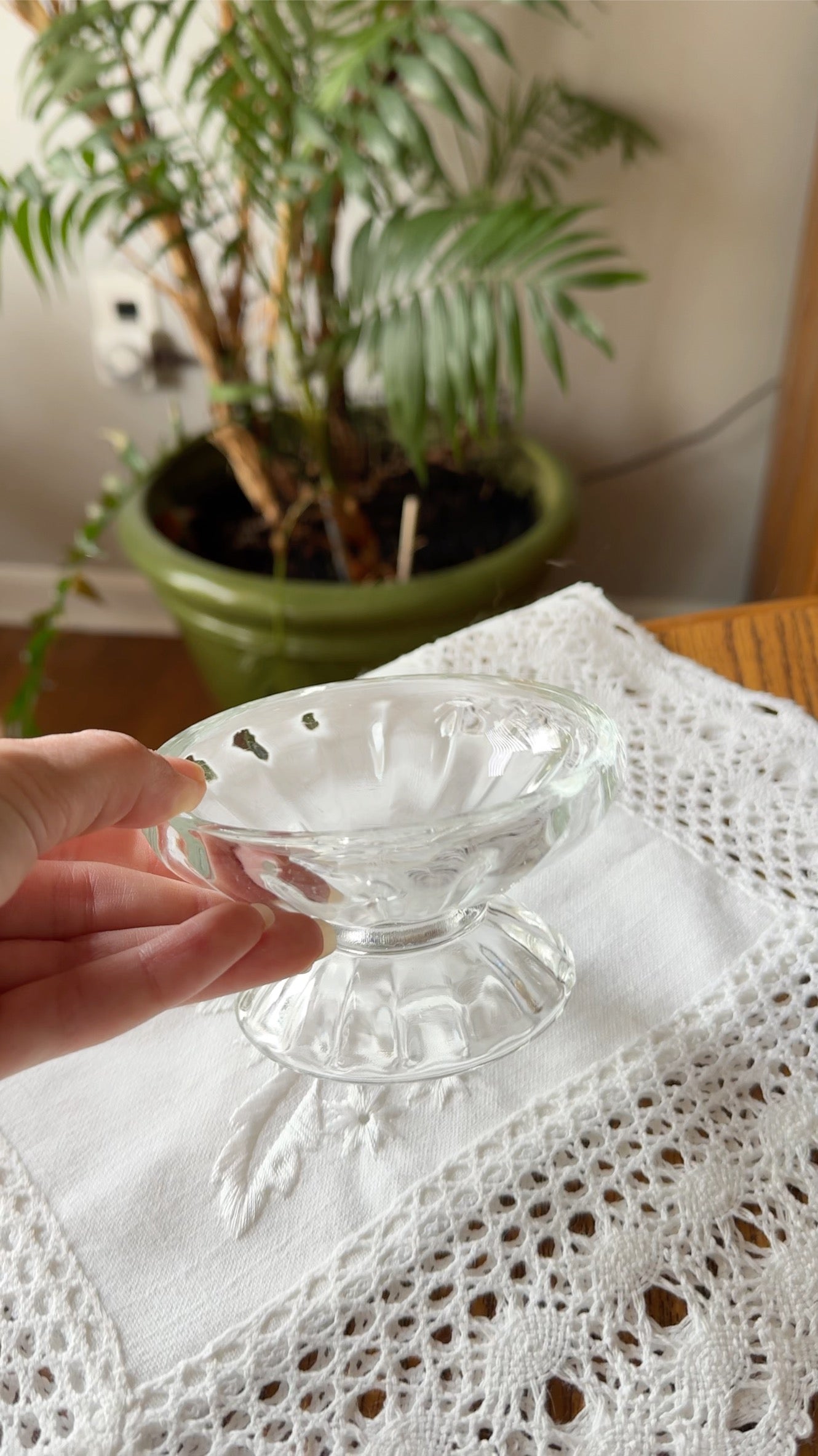 Clarity Bowl β Wide, Elevated Glass Bowl for Cats