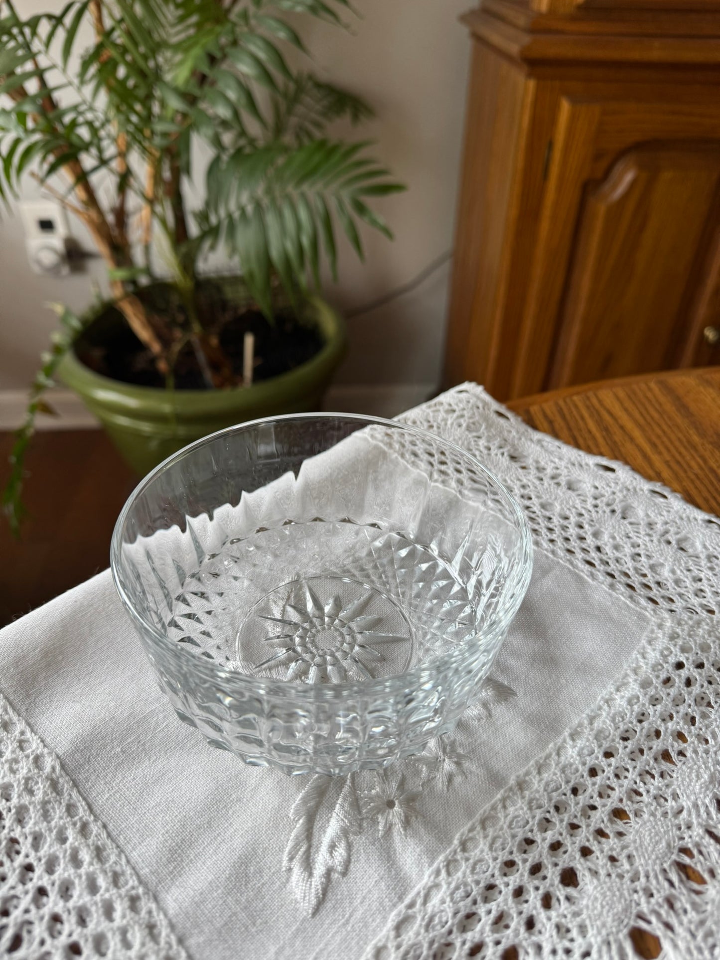 Glass Cat Dish – Rare Discontinued Design, Whisker-Friendly, Plastic-Free, Lead-Tested - Arcoroc USA