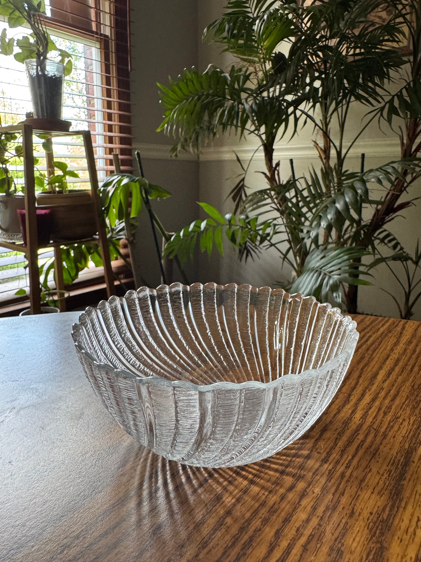 The Ripple Glass Cat Bowl