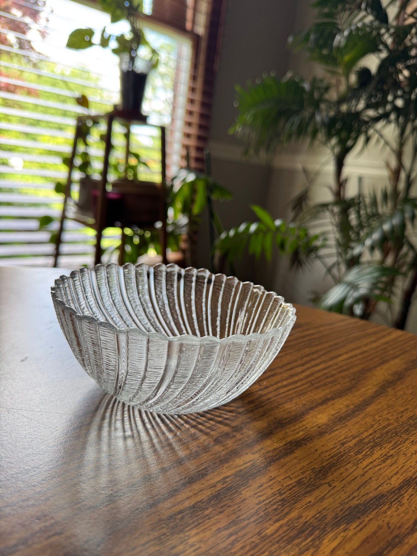 The Ripple Glass Cat Bowl