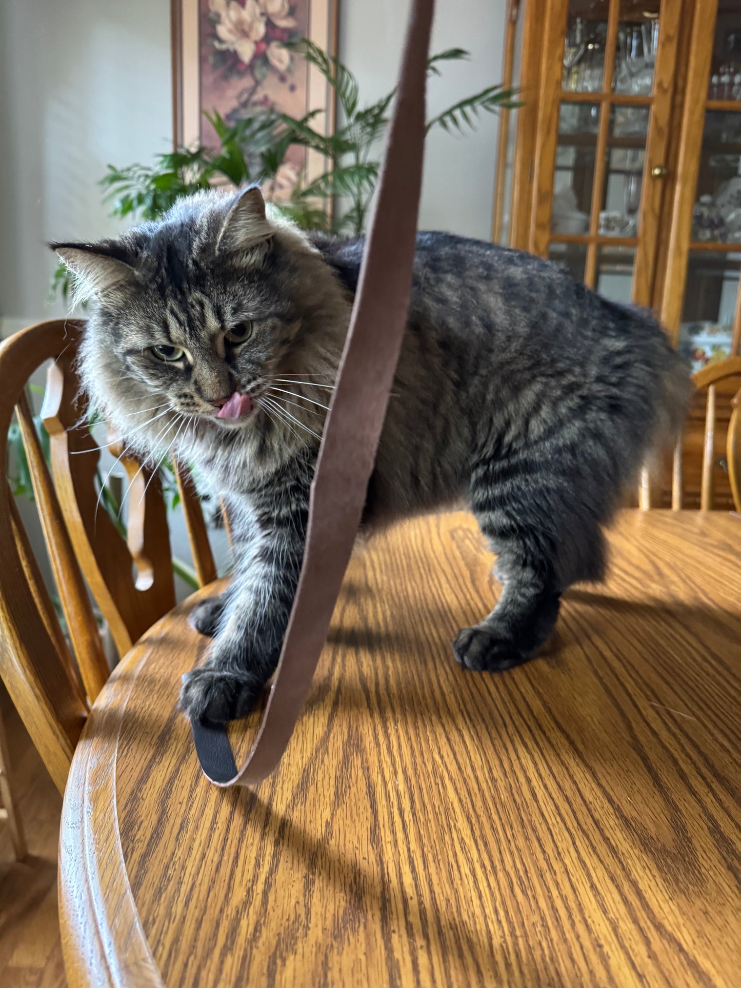 The Natural Leather Cat Teaser Toy - Brown