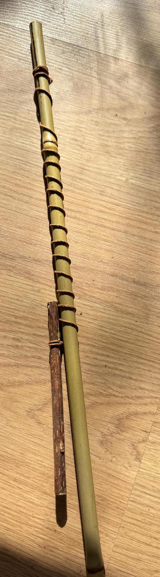 The Silvervine Teaser