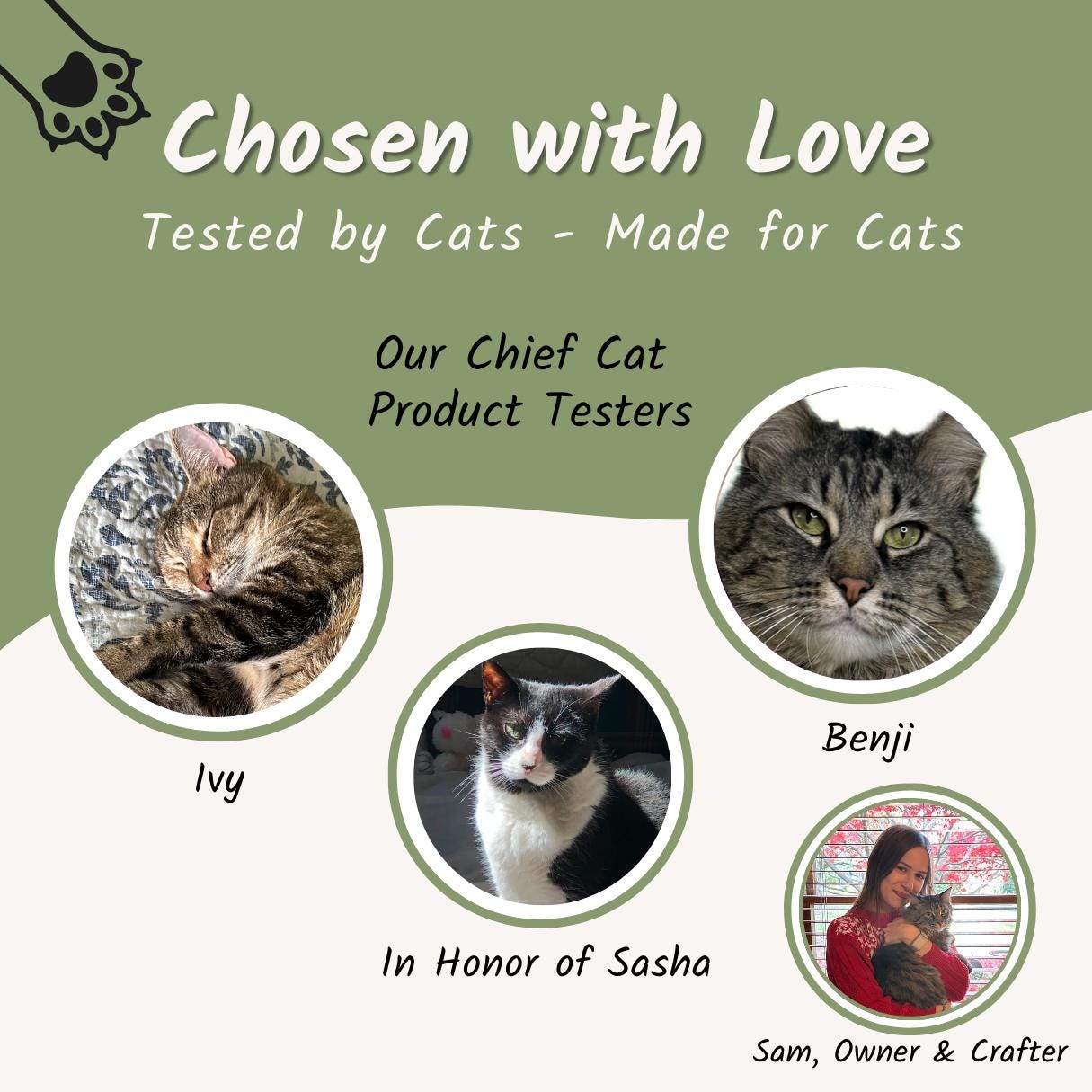 The Ribbed Cat Dish Glass