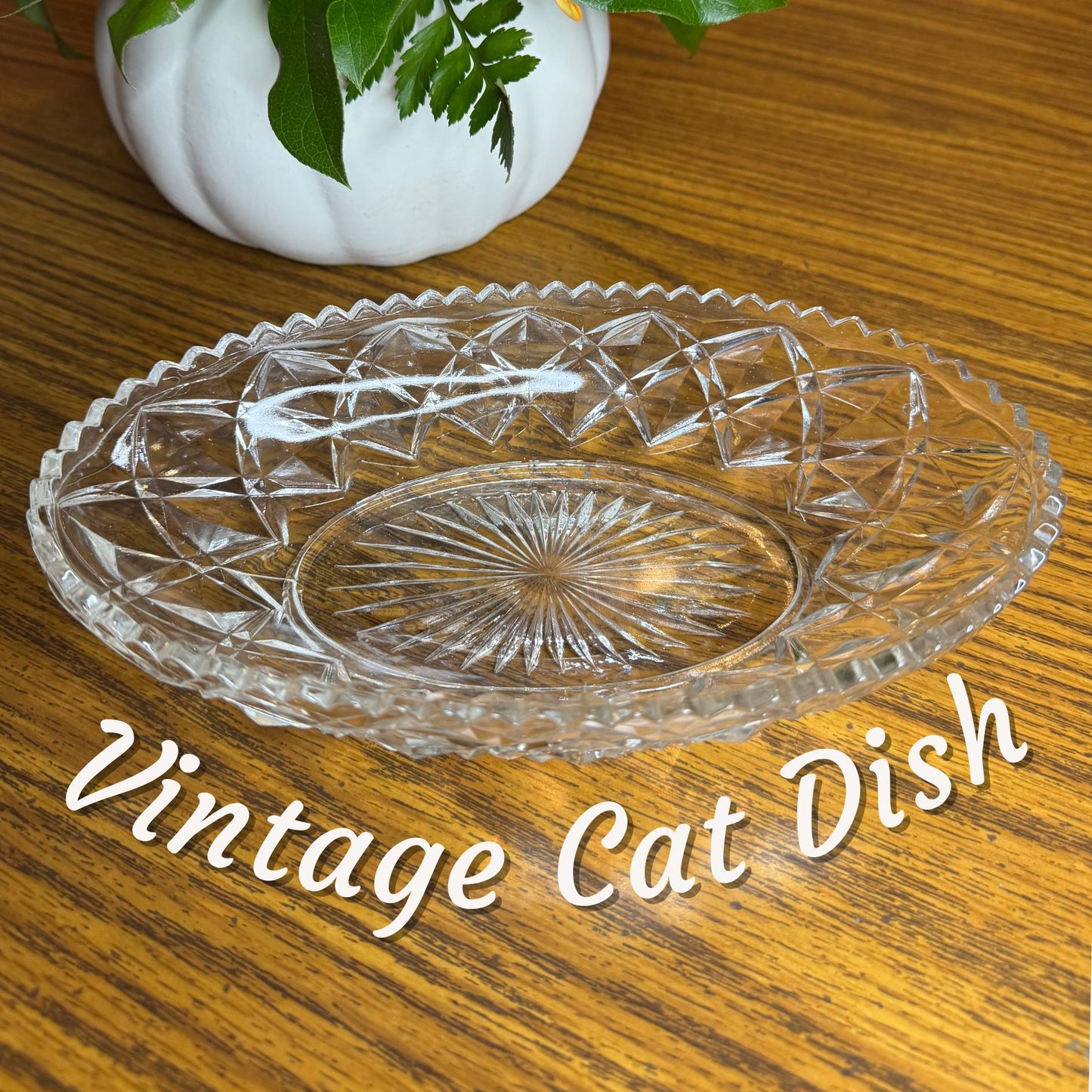 The Shallow Oval Glass Cat Dish