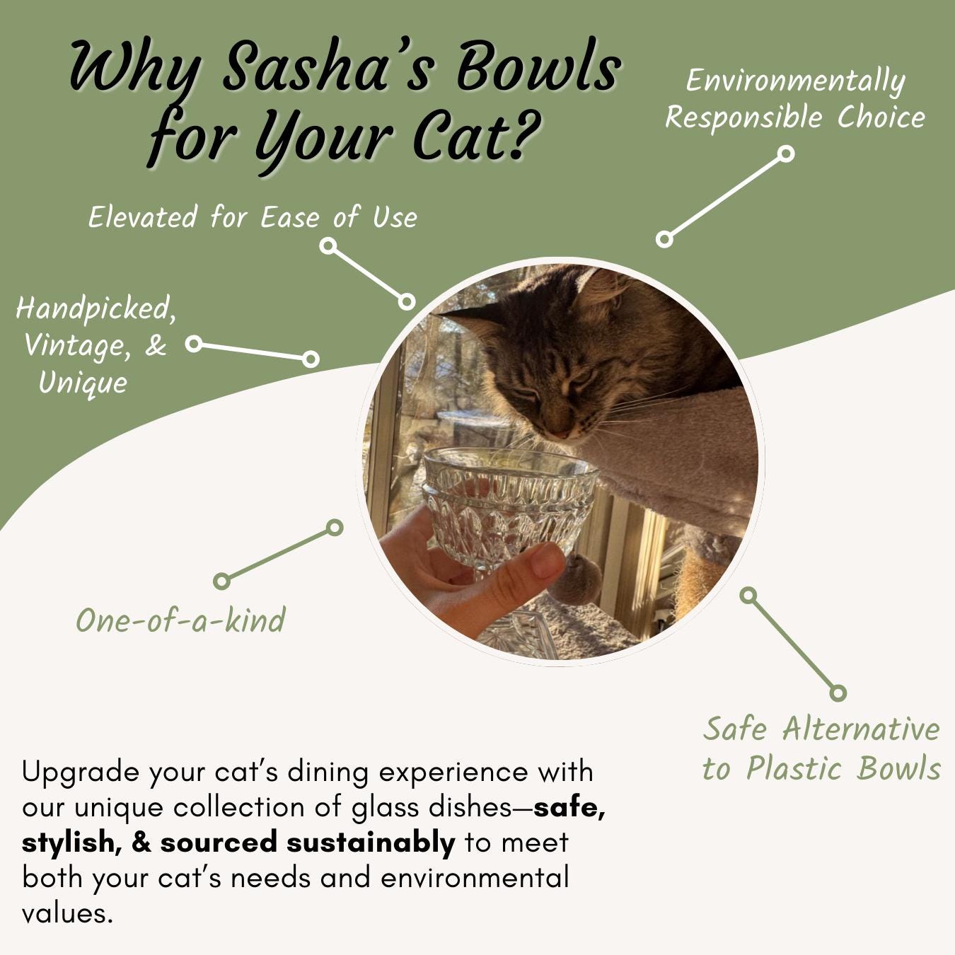 The Pedestal Glass Dish Water Bowl