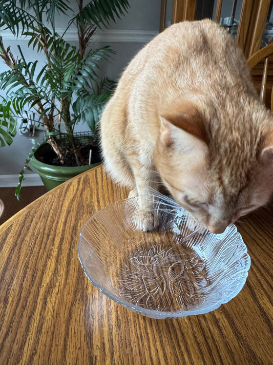 The Floral Glass Cat Bowl