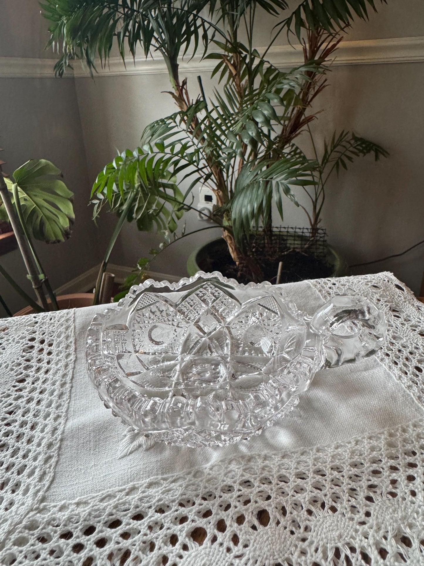 Glass Cat Dish with Raised Edges β Functional Elegance for Wet Food Round Circular Whisker Friendly Crystal Glass Cat Plate