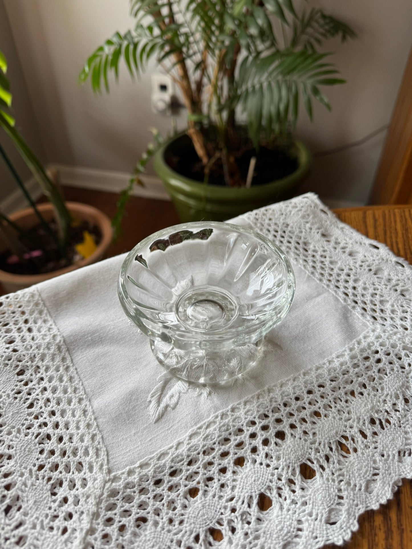 Clarity Bowl – Wide, Elevated Glass Bowl for Cats
