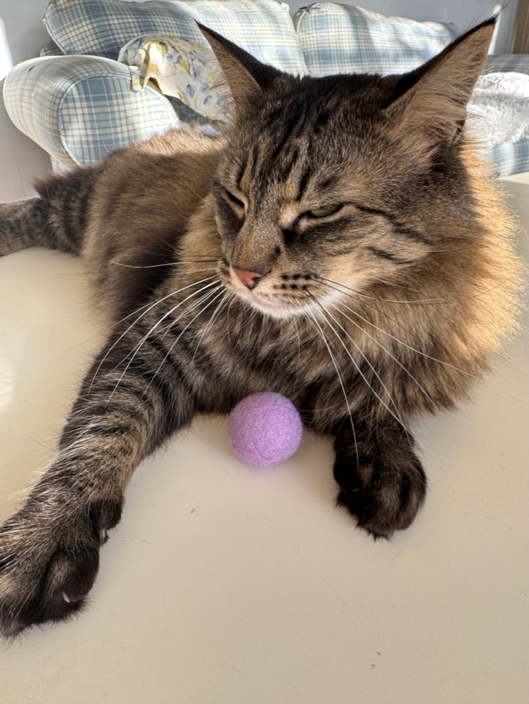 The Orange Wool Cat Balls (4 Pack)