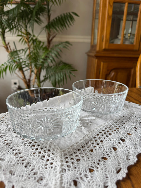 Glass Cat Dish – Rare Discontinued Design, Whisker-Friendly, Plastic-Free, Lead-Tested - Arcoroc USA