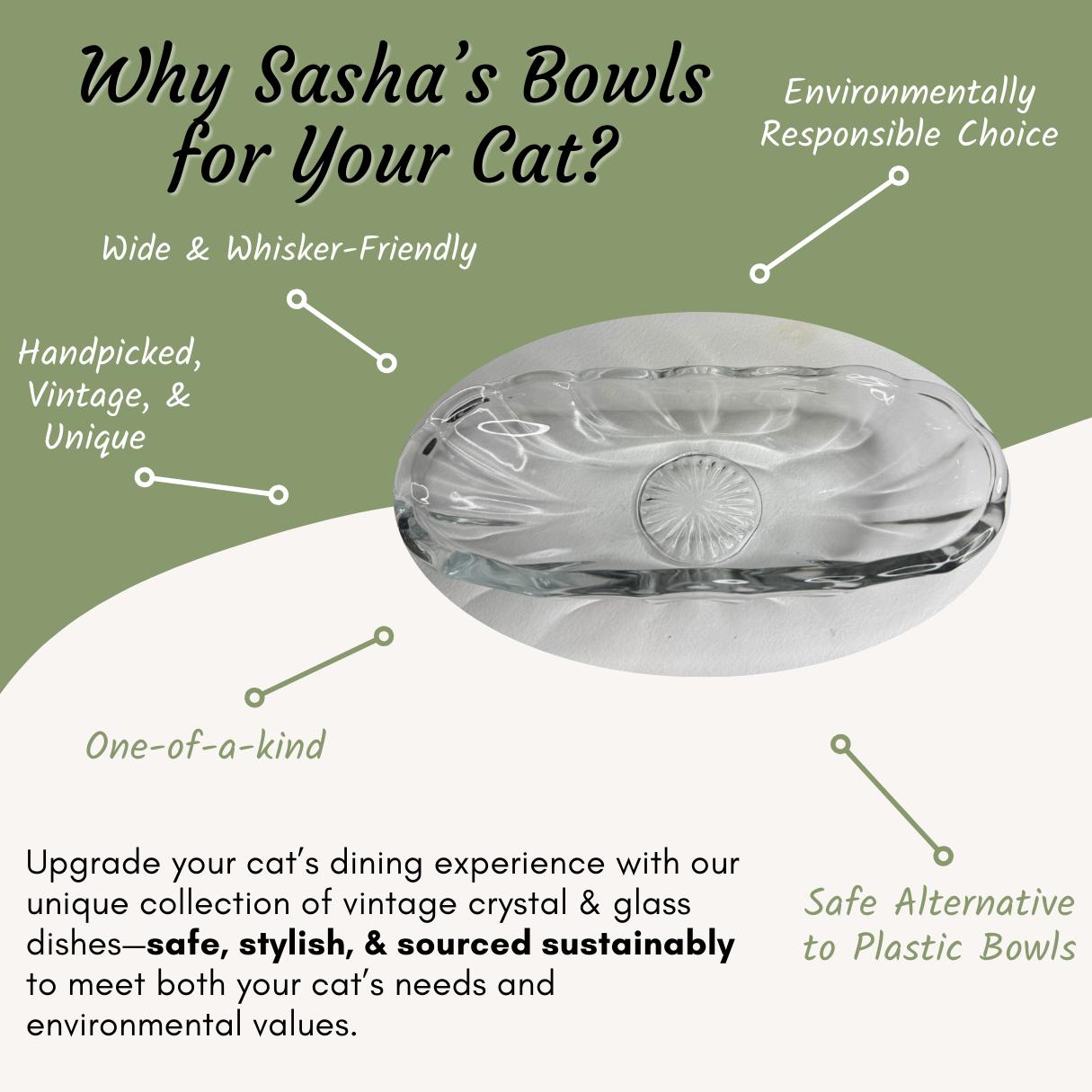 Wide Oval Glass Cat Bowl | Whisker Relief, Plastic-Free, Lead-Free | Cat Dish, Water Bowl, Food Bowl, Vintage-Inspired