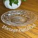 The Shallow Oval Glass Cat Dish
