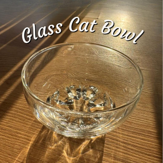 The Bubble Glass Cat Bowl